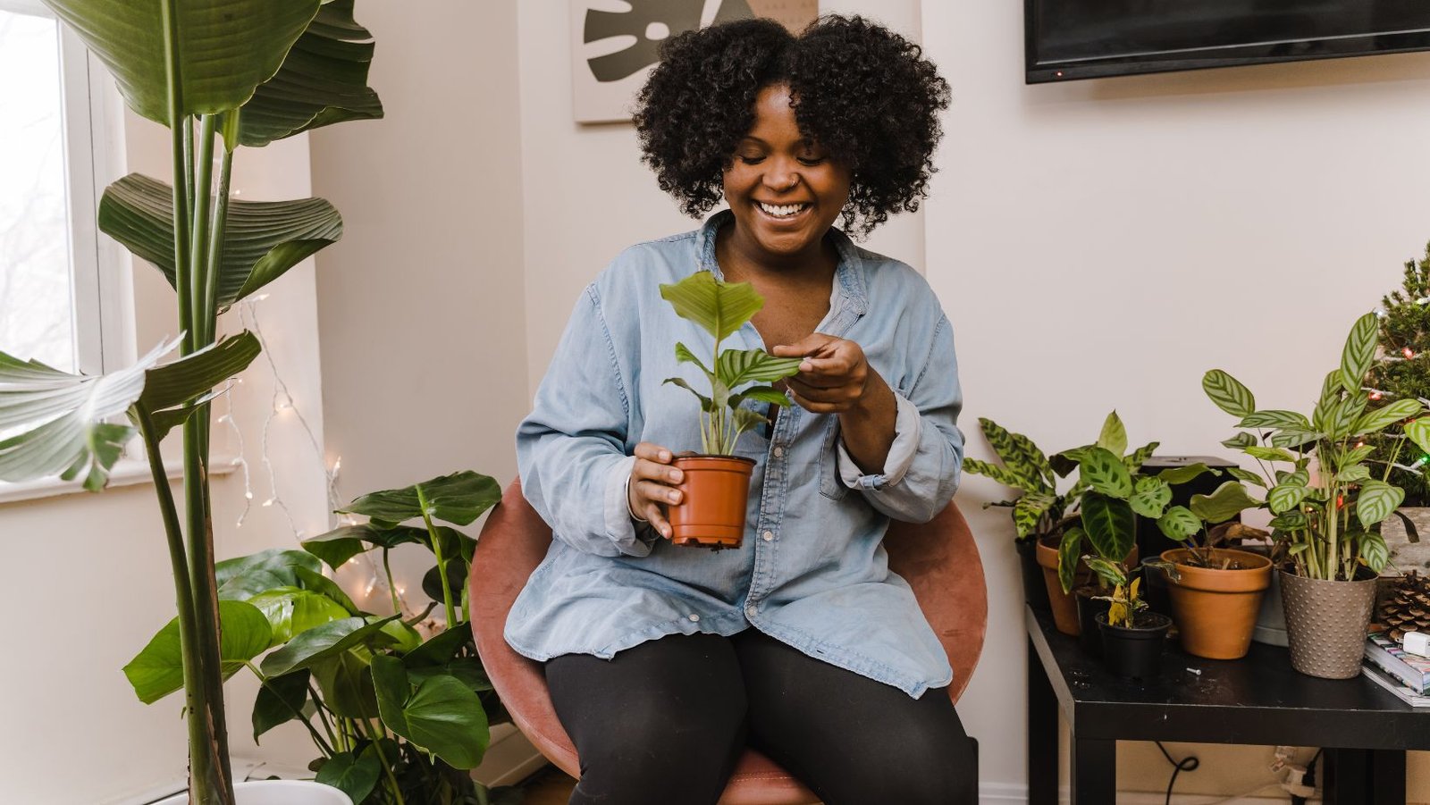 personal growth and self improvement while growing plants.