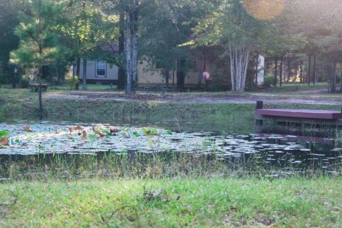 Dhamma Patapa Vipassana retreat Meditation Center in Jesup, Georgia
